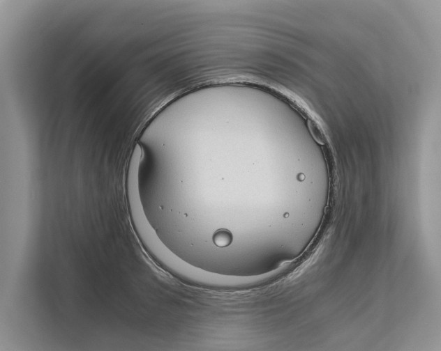 X0000110910897200907161456