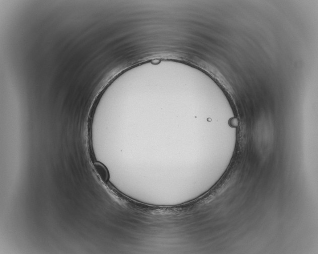 X0000110910898200907161456