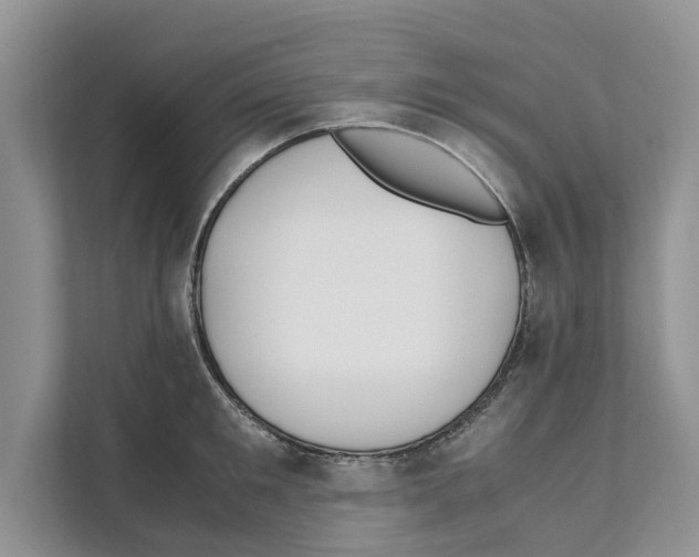 X0000110910901200907161456