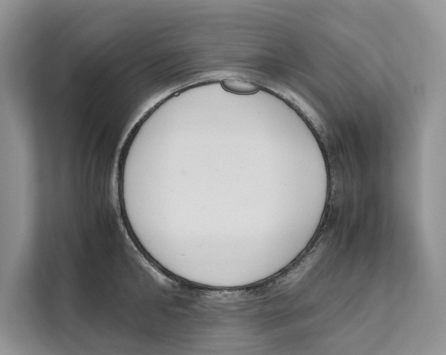 X0000110910902200907161456