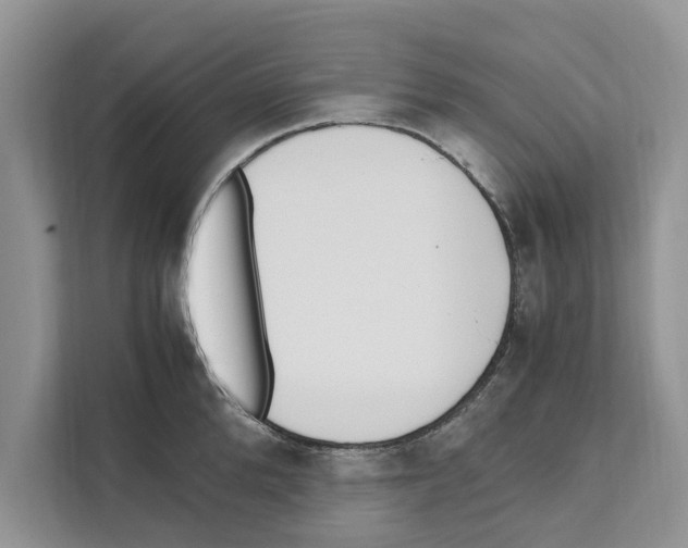 X0000110910904200907161456