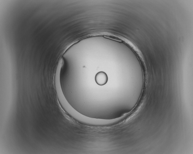 X0000110910905200907161456