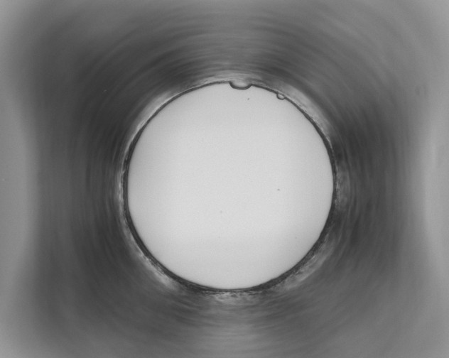 X0000110910906200907161456