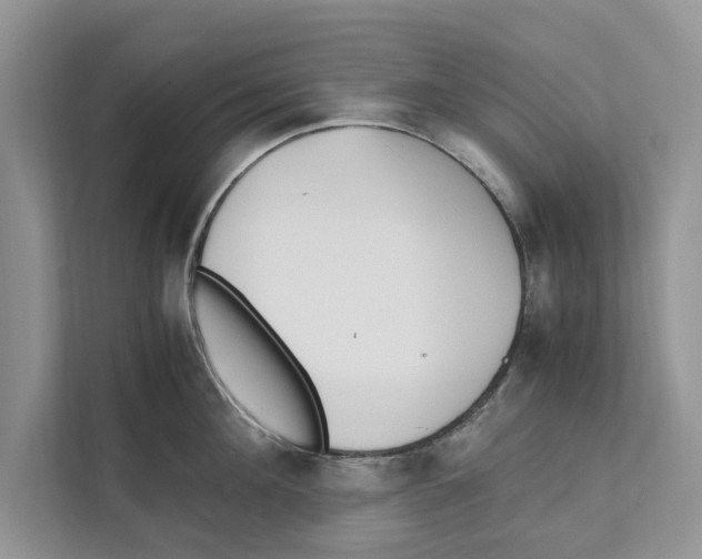 X0000110910908200907161456