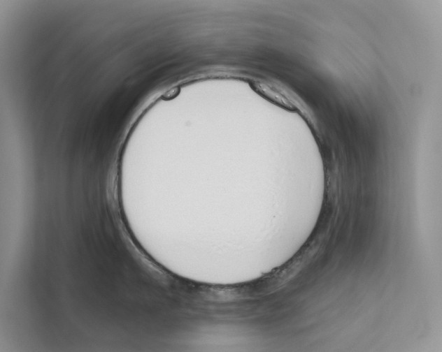 X0000110910911200907161456