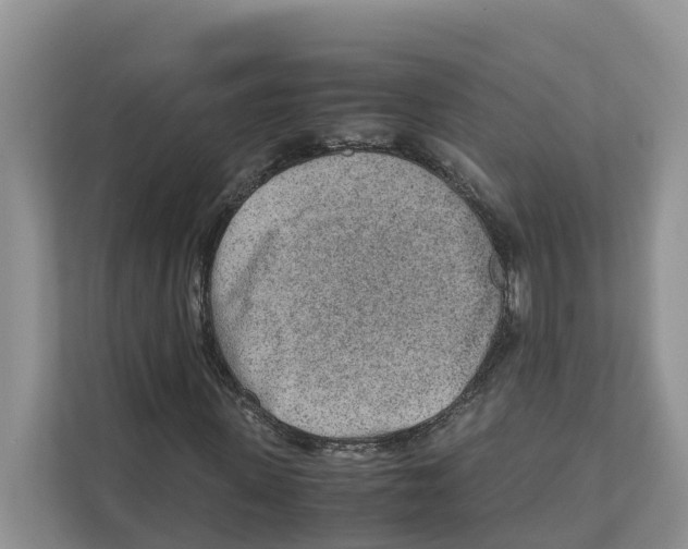 X0000110910915200907161455