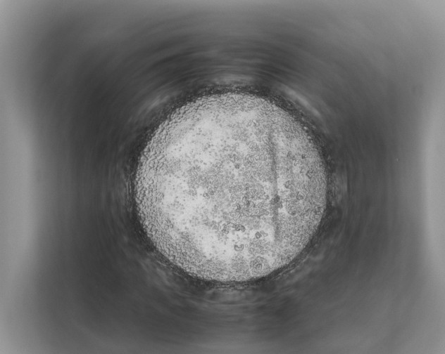 X0000110910917200907161455