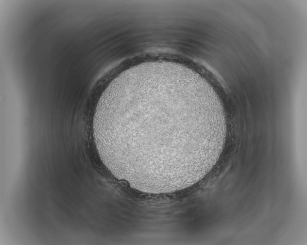 X0000110910919200907161455