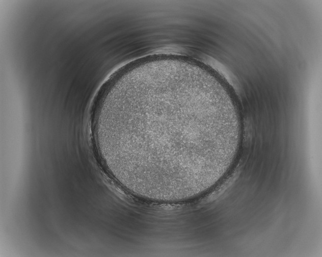 X0000110910923200907161455