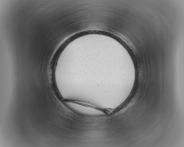 X0000110910926200907161456