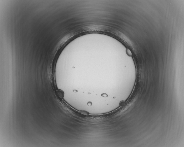 X0000110910930200907161456