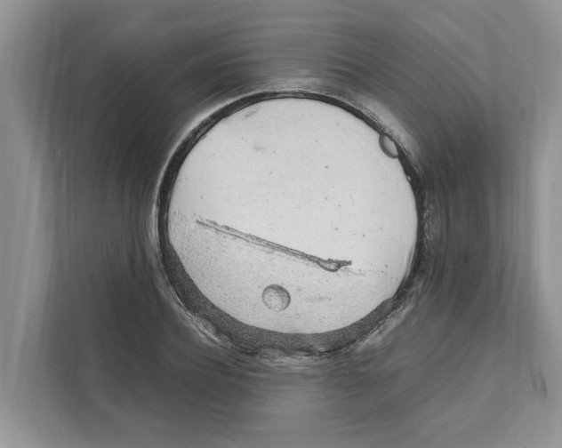 X0000110910932200907161456