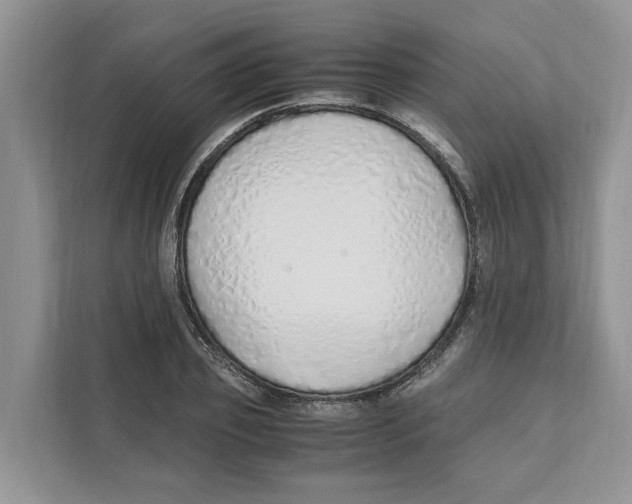 X0000110910933200907161456