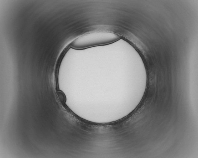 X0000110910936200907161456