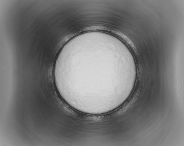 X0000110910937200907161456