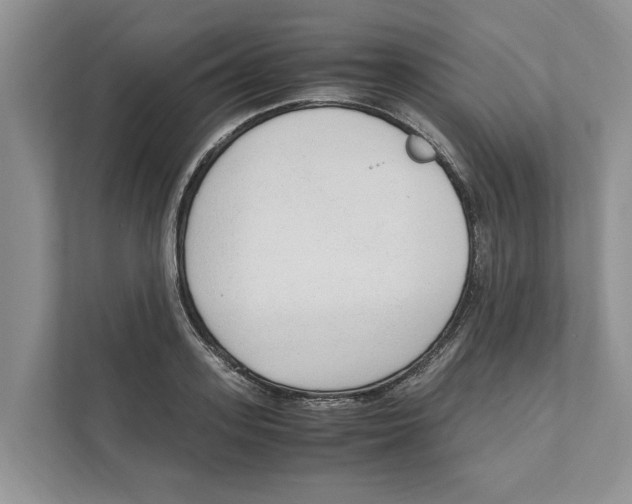 X0000110910939200907161456