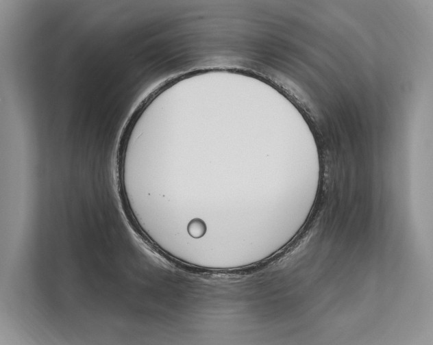 X0000110910942200907161456