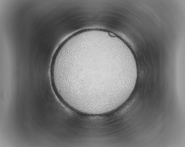 X0000110910943200907161456