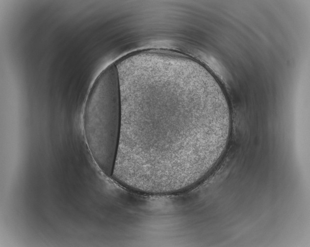 X0000110910944200907161456