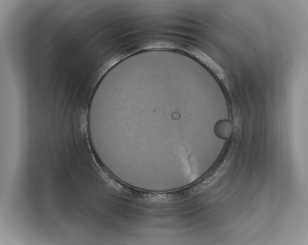 X0000110910945200907161456