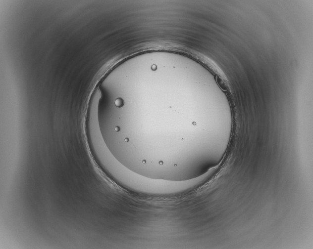 X0000110910946200907161456