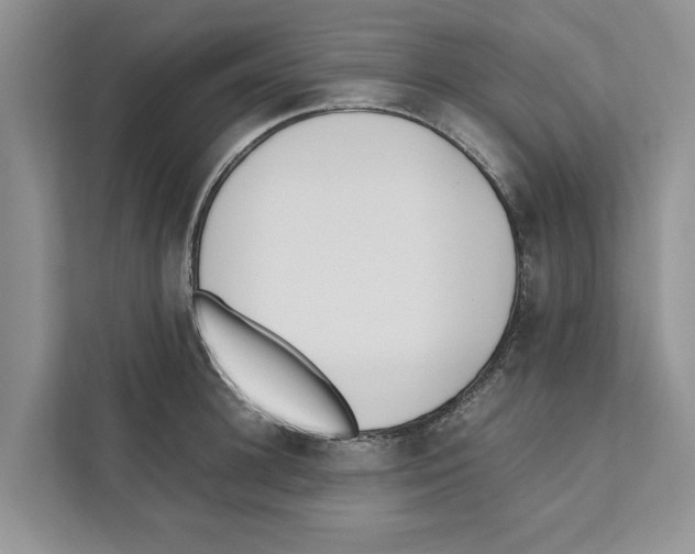 X0000110910948200907161456