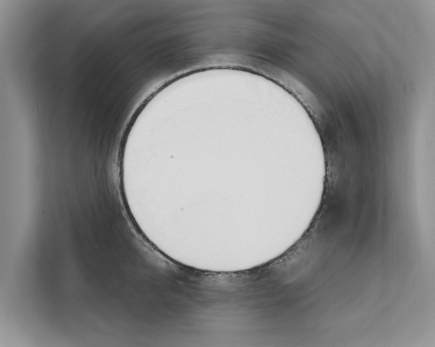 X0000110910950200907161456