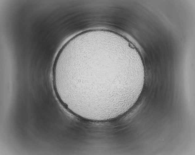 X0000110910951200907161456