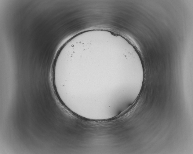 X0000110910952200907161456