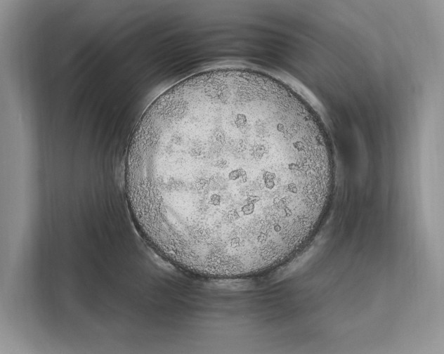 X0000110910953200907161456