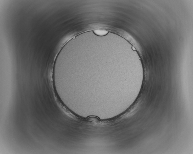 X0000110910954200907161456