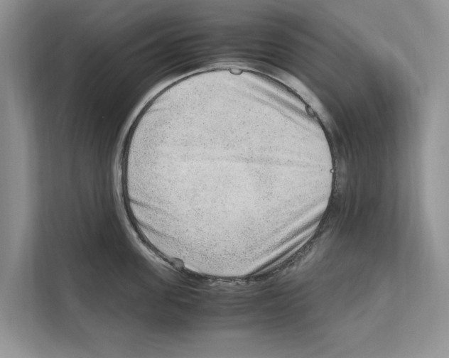 X0000110910955200907161456