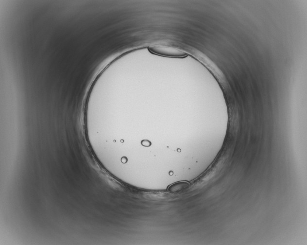 X0000110910956200907161456