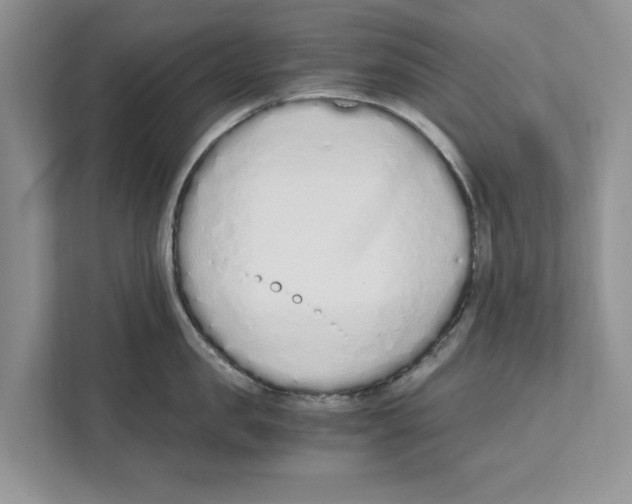 X0000110910957200907161456