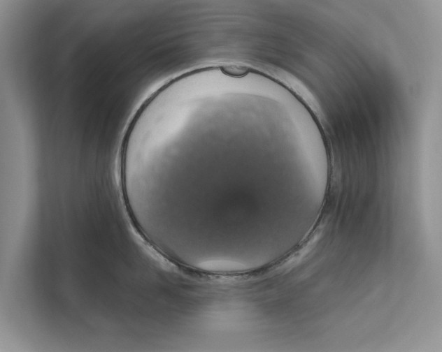 X0000110910958200907161456