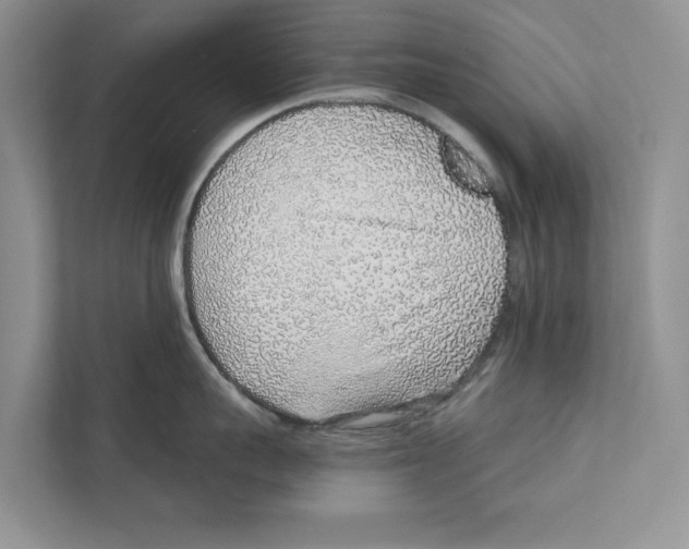 X0000110910959200907161456