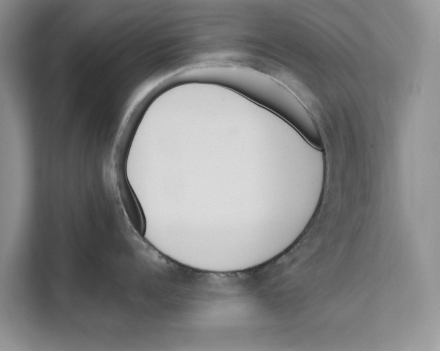 X0000110910960200907161456