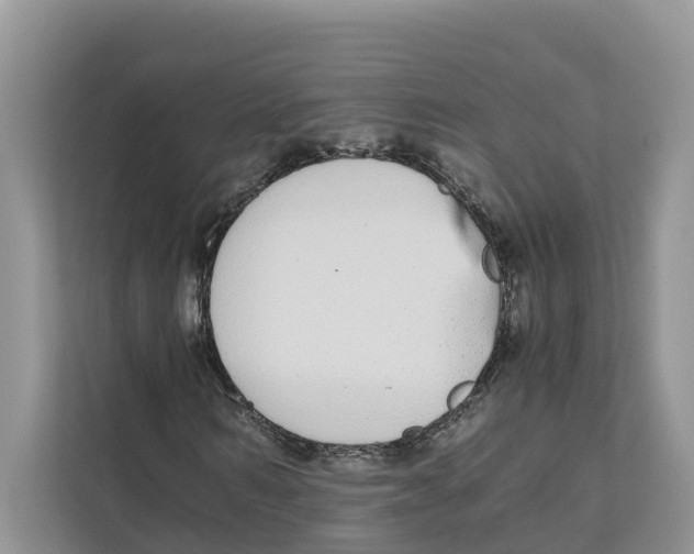 X0000110910962200907161455