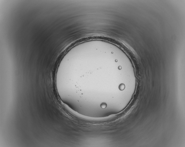 X0000110910969200907161455