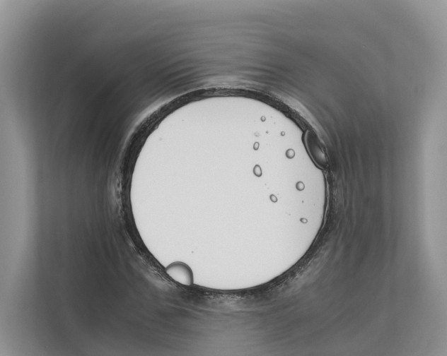 X0000110910971200907161455