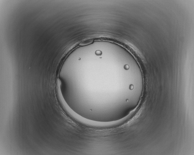 X0000110910977200907161455