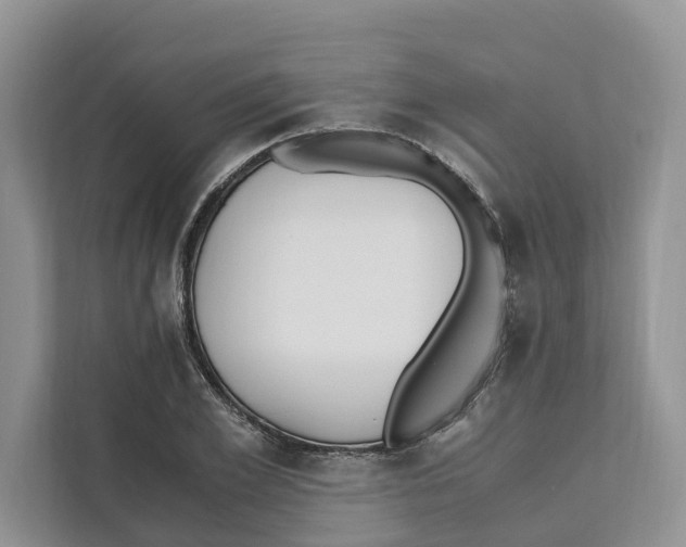 X0000110910981200907161455