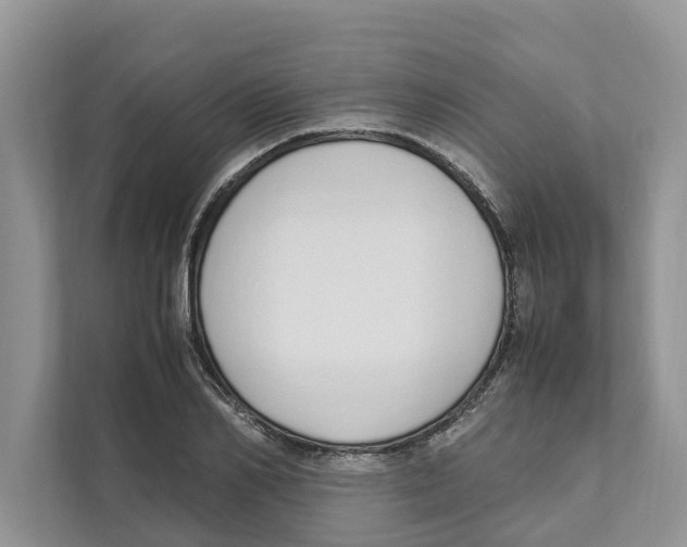 X0000110910982200907161455