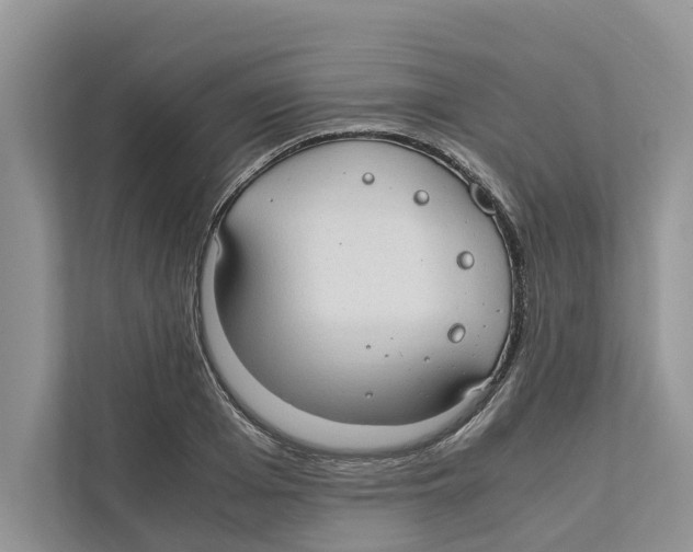 X0000110910985200907161455