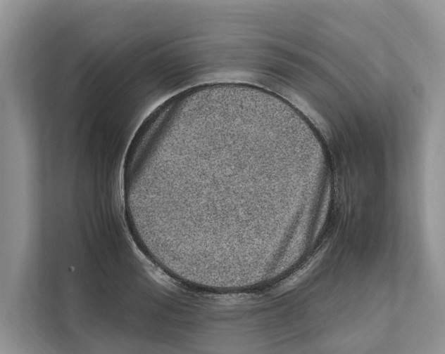 X0000110910988200907161455