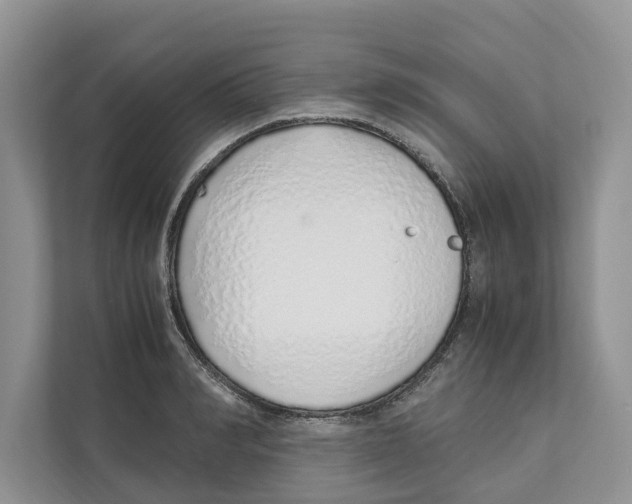 X0000110910990200907161455