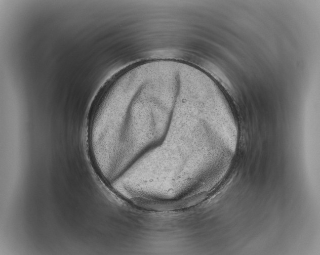 X0000110910992200907161455