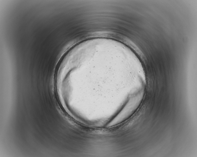 X0000110910994200907161455