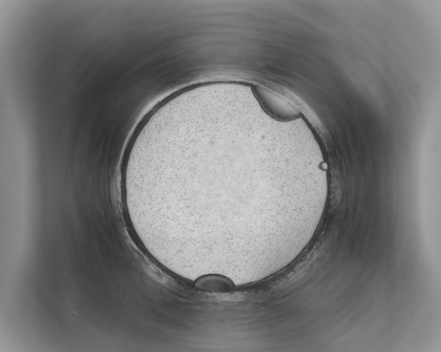 X0000110910996200907161455