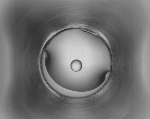 X0000110910997200907161455